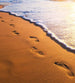 Dimex Footsteps Fototapete 225x250cm 3-Bahnen | Yourdecoration.de