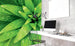 Dimex Fresh Foliage Fototapete 225x250cm 3-Bahnen Sfeer | Yourdecoration.nl