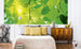 Dimex Green Leaves Fototapete 375x150cm 5-Bahnen Sfeer | Yourdecoration.nl