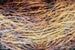 Dimex Hay Abstract I Fototapete 375x250cm 5-bahnen | Yourdecoration.de