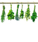 Dimex Herbs Fototapete 225x250cm 3-Bahnen | Yourdecoration.de