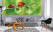 Dimex Ladybird Fototapete 375x150cm 5-Bahnen Sfeer | Yourdecoration.nl