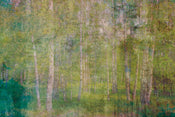 Dimex Leaves Abstract Fototapete 375x250cm 5-bahnen | Yourdecoration.de