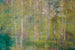 Dimex Leaves Abstract Fototapete 375x250cm 5-bahnen | Yourdecoration.de