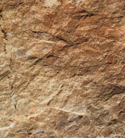 Dimex Marble Fototapete 225x250cm 3-Bahnen | Yourdecoration.de