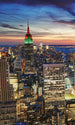 Dimex New York Skyscrapers Fototapete 150x250cm 2-Bahnen | Yourdecoration.de