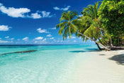 Dimex Paradise Beach Fototapete 375x250cm 5-Bahnen | Yourdecoration.de