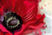 Dimex Poppy Fototapete 375x250cm 5-Bahnen | Yourdecoration.de