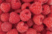 Dimex Raspberry Fototapete 375x250cm 5-Bahnen | Yourdecoration.de