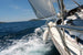 Dimex Sailing Fototapete 375x250cm 5-Bahnen | Yourdecoration.de