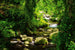 Dimex Stream Fototapete 375x250cm 5-Bahnen | Yourdecoration.de