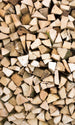 Dimex Timber Logs Fototapete 150x250cm 2-Bahnen | Yourdecoration.de