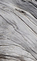 Dimex Tree Texture Fototapete 150x250cm 2-Bahnen | Yourdecoration.de