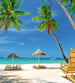 Dimex Tropical Beach Fototapete 225x250cm 3-Bahnen | Yourdecoration.de