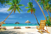 Dimex Tropical Beach Fototapete 375x250cm 5-Bahnen | Yourdecoration.de