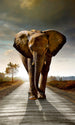 Dimex Walking Elephant Fototapete 150x250cm 2-Bahnen | Yourdecoration.de