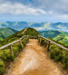 Dimex Walking Path Fototapete 225x250cm 3-Bahnen | Yourdecoration.de