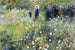 Dimex Woman in Garden Fototapete 375x250cm 5-Bahnen | Yourdecoration.de