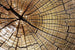 Dimex Wood Fototapete 375x250cm 5-Bahnen | Yourdecoration.de