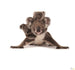 Komar Koala Vlies Fototapete 300X280Cm 6 Teile | Yourdecoration.de