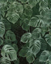 Komar Monstera on Marble Vlies Fototapete 200x250cm 2-bahnen | Yourdecoration.de