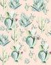 Komar Cactus Rose Vlies Fototapete 200x250cm 2-bahnen | Yourdecoration.de