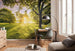 Komar Golden Moment Vlies Fototapete 400x250cm 4-Bahnen Interieur | Yourdecoration.de