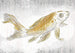 Komar Golden Koi Vlies Fototapete 400x280cm 8-bahnen | Yourdecoration.de