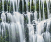 Komar Ensemble of Veils Vlies Fototapete 300x250cm 3-bahnen | Yourdecoration.de