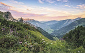 Komar Alps Vlies Fototapete 400x250cm 4-bahnen | Yourdecoration.de