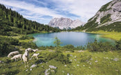 Komar Paradise Lake Vlies Fototapete 400x250cm 4-bahnen | Yourdecoration.de