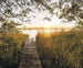 Komar Lakeside Vlies Fototapete 300x250cm 3-bahnen | Yourdecoration.de