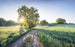 Komar A New Day in Paradise Vlies Fototapete 400x250cm 4-bahnen | Yourdecoration.de