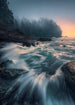 Komar Cry of the Sea Vlies Fototapete 200x280cm 4-bahnen | Yourdecoration.de