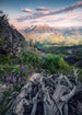 Komar Flowering Tales Vlies Fototapete 200x280cm 4-bahnen | Yourdecoration.de