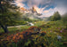 Komar The Last Paradise Vlies Fototapete 400x280cm 8-bahnen | Yourdecoration.de