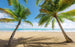 Komar Caribbean Days II Vlies Fototapete 450x280cm 9-bahnen | Yourdecoration.de