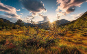 Komar Norwegische Herbstwelten Vlies Fototapete 450x280cm 9-bahnen | Yourdecoration.de