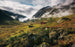 Komar Pure Norway Vlies Fototapete 450x280cm 9-bahnen | Yourdecoration.de