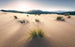 Komar Vivid Dunes Vlies Fototapete 450x280cm 9-bahnen | Yourdecoration.de