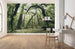 Komar Ancient Green Vlies Fototapete 450x280cm 9-bahnen Sfeer | Yourdecoration.de