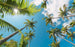 Komar Coconut Heaven II Vlies Fototapete 450x280cm 9-bahnen | Yourdecoration.de