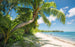 Komar Fiji Dreams Boat Vlies Fototapete 450x280cm 9-bahnen | Yourdecoration.de