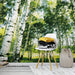 Wizard+Genius Sunshine Forest Fototapete 366x254cm 8-bahnen Sfeer | Yourdecoration.de